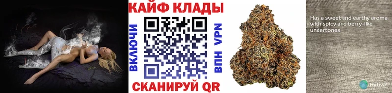 Наркота Богданович Бошки Шишки  Псилоцибиновые грибы  гидра как зайти  Меф  Alpha-PVP  Гашиш  МДМА 