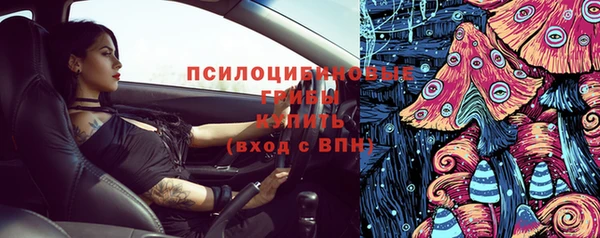 ГАЛЛЮЦИНОГЕННЫЕ ГРИБЫ Костерёво