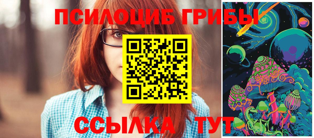 Галлюциногенные грибы Psilocybe  Вход с VPN  закладки  Богданович 
